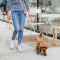 Afbeelding geladen in Galerij-viewer, Honden poepzakhouder Taupe met goud
Ben je op zoek naar een elegante poepzakhouder? De honden poepzakhouder in taupe met goud is zowel stijlvol als praktisch. Het merk DOGA heeft deze houder ontworpenDogawafwafHonden poepzakhouder Taupe met goud
