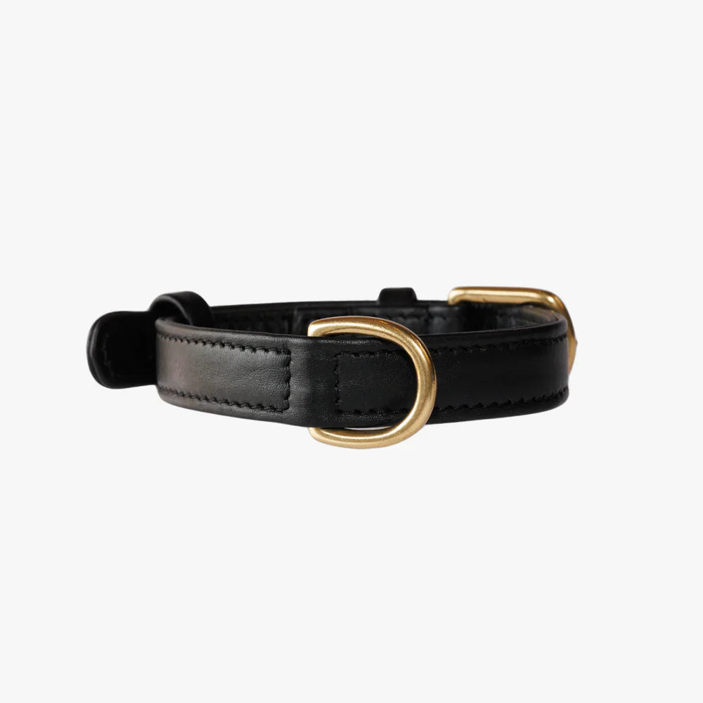 Hondenhalsband Zwart