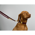 Afbeelding geladen in Galerij-viewer, Hondenriem Bordeaux Rood
