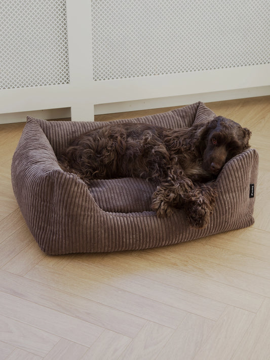 Hondenmand Oscar Velvet  Mokka