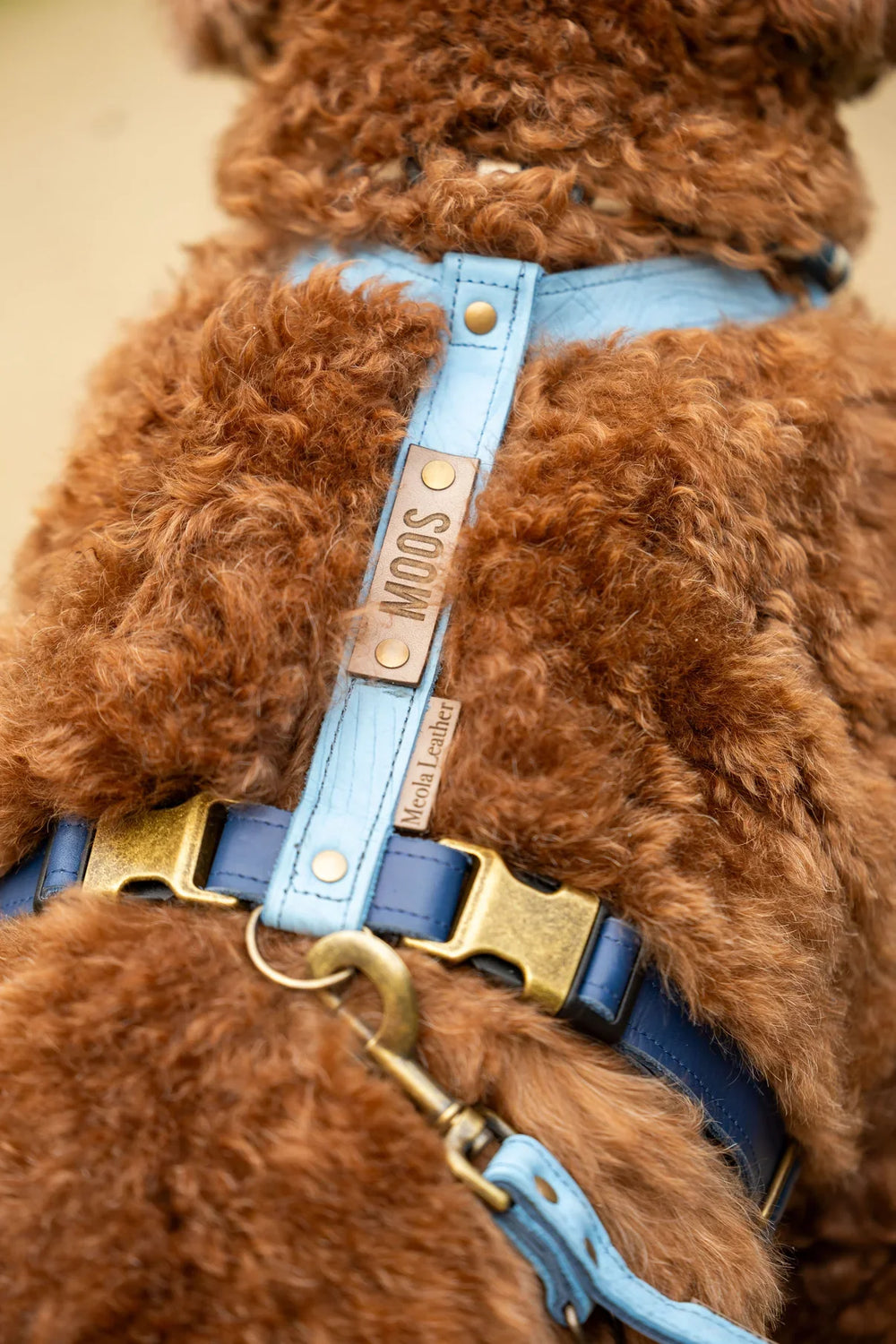 Meolaleather