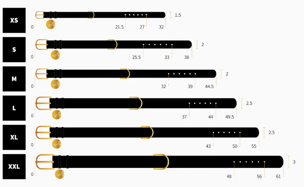 Waterdichte lila hondenhalsband met comfortabele pasvorm en gouden accenten