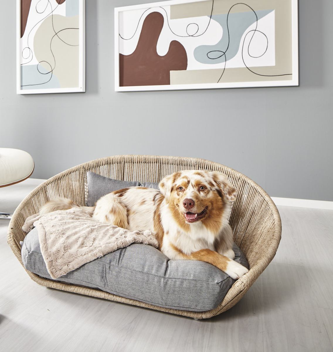 VOGUE SMOOTH DESIGN HONDENMAND