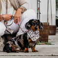 Afbeelding geladen in Galerij-viewer, Honden bandana Leopard Brown
De DOGA Luxe Honden Bandana Leopard Brown is een stijlvolle en trendy accessoire om de persoonlijkheid en het uiterlijk van je hond te versterken. Deze bandana's ziDogawafwafHonden bandana Leopard Brown
