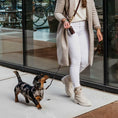 Afbeelding geladen in Galerij-viewer, Hondenriem Bruin met goud
De DOGA Hondenriem Bruin met goud is een luxe accessoire die perfect past bij de hondenhalsband Bruin met goud. Deze donkerbruine hondenriem is niet alleen stijlvolDogawafwafHondenriem Bruin met goud
