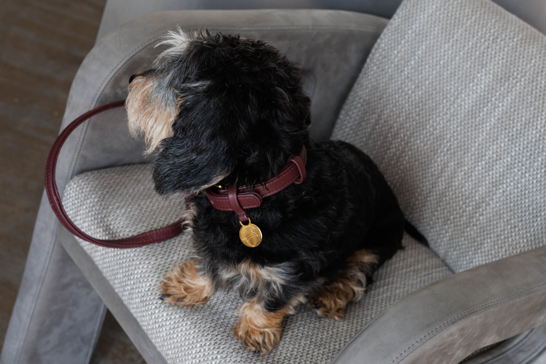 Hondenriem  Bordeaux van luxe leer