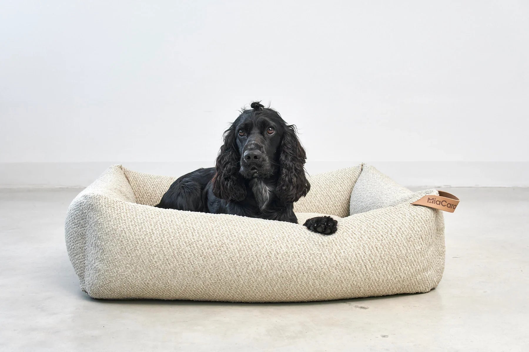 4L Textiel MOLLY Comfortabel Corduroy Hondenbed, Hondenmand voor Middelgrote Honden, Corduroy Hondenkussen, Pluche Hondenmand, Corduroy, Beige - België 4L Textiel MOLLY Comfortabel Corduroy Hondenbed, Hondenmand voor Middelgrote Honden, Corduroy Hondenkussen, Pluche Hondenmand, Corduroy, Beige - België