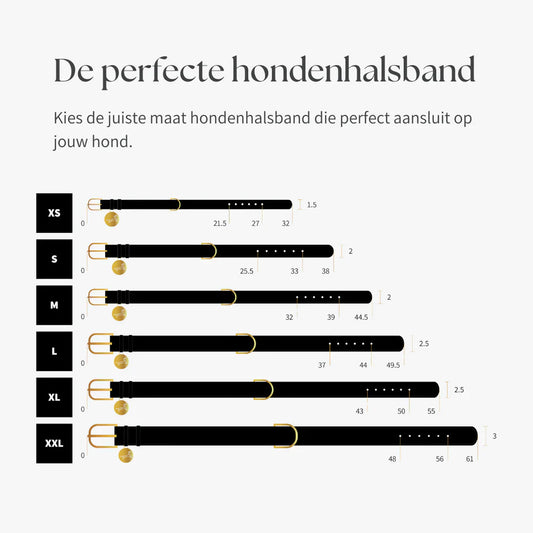 Hondenhalsband Zwart