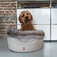 Afbeelding geladen in Galerij-viewer, POOCH POUCH Mist ronde Hondenmand off white
