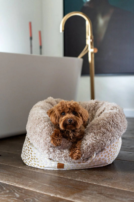 POOCH POUCH Limited Edition hondenmand