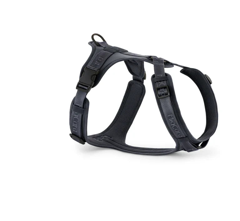 Lightweight and durable Modena Tuigje Asfalt dog harness with adjustable straps.