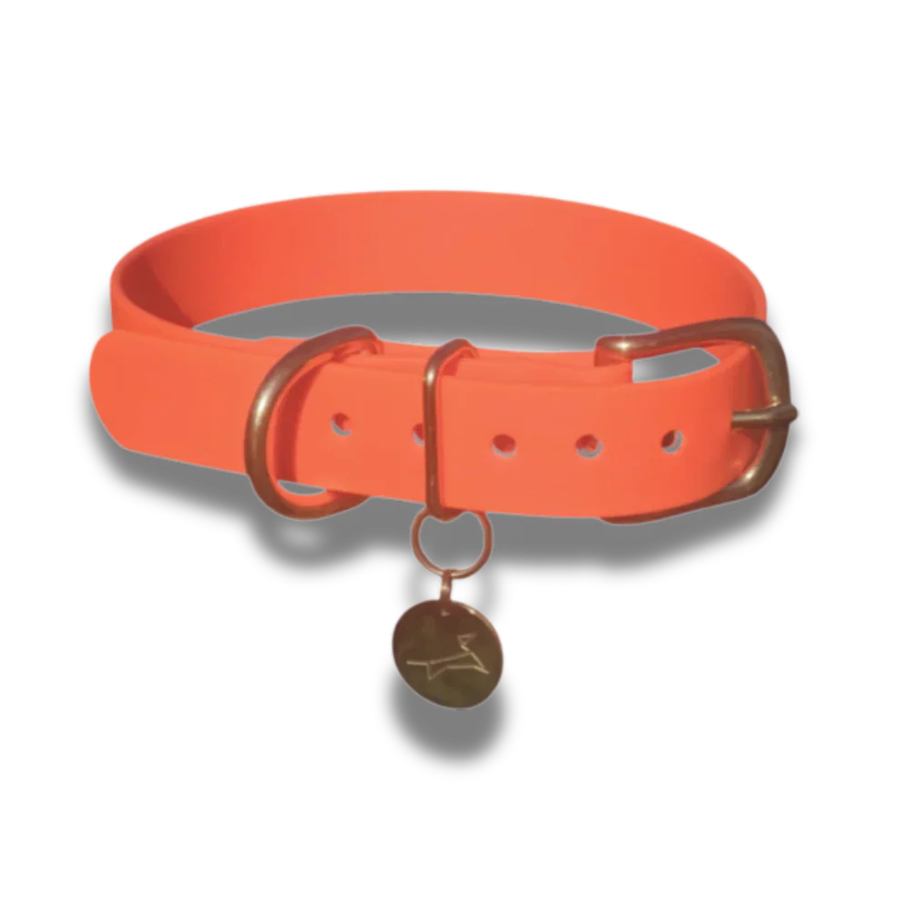 Waterdichte neon oranje hondenhalsband met comfortabele pasvorm en gouden accenten