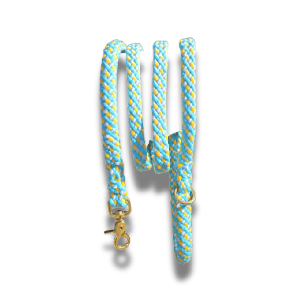 Polypropyleen lijn Sunny Beach hondenriem met gouden musketonhaak en lichtgewicht design