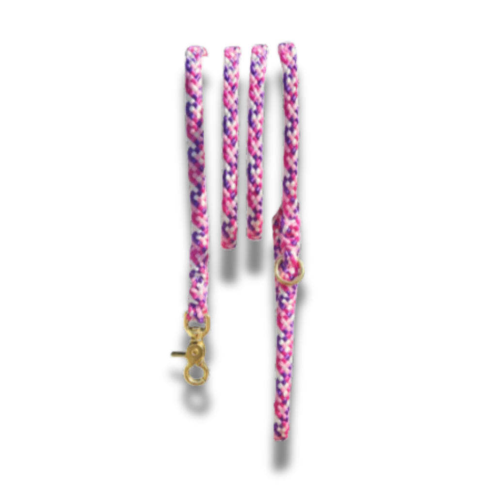 Honden benodigdheden