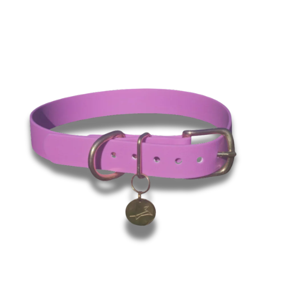 Waterdichte lila hondenhalsband, comfortabel en onderhoudsvriendelijk met gouden accenten, geschikt voor actieve honden.