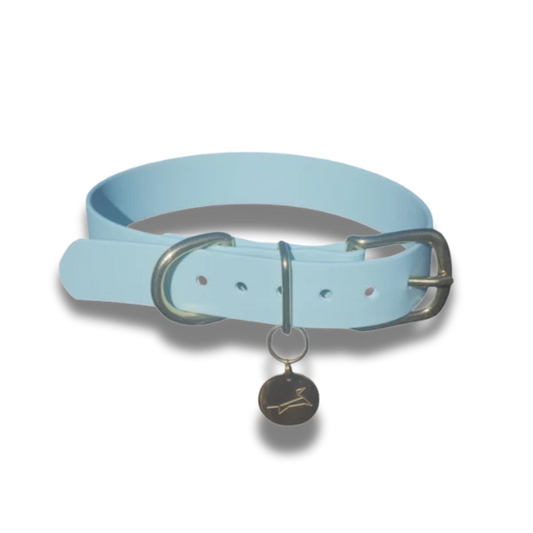 Pastelblauwe waterdichte hondenhalsband met gouden details