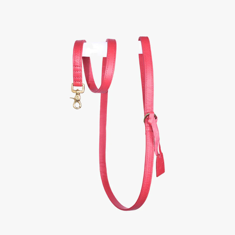 Royal Red hondenriem van soepel echt leer met roestbestendig messing beslag, 170 cm lang