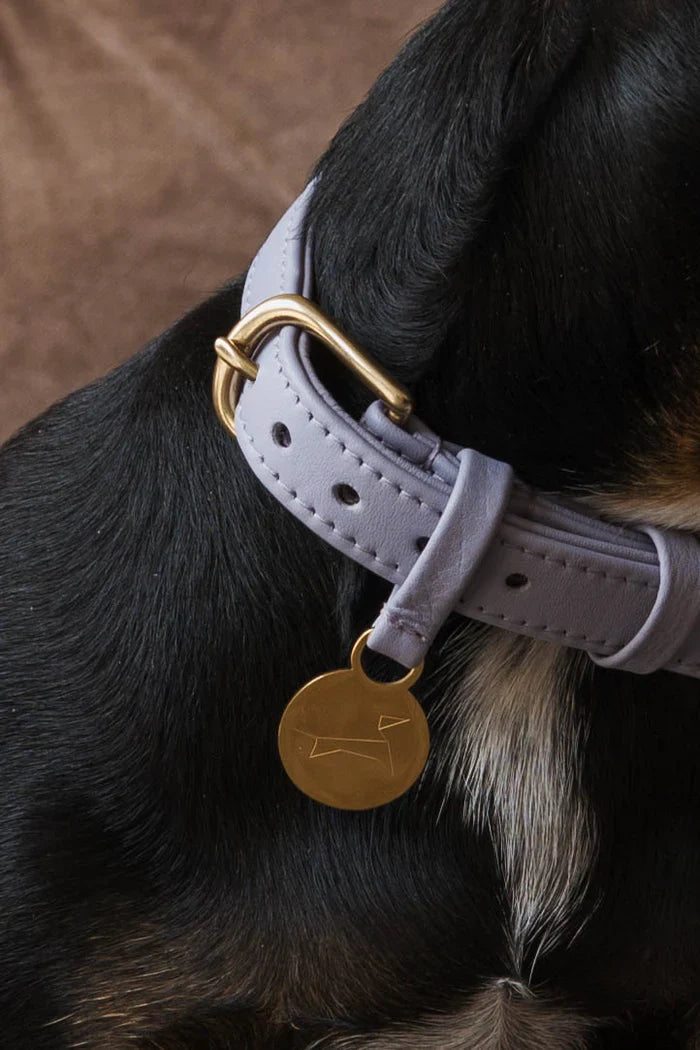 Hondenhalsband Lila