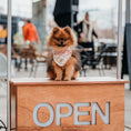 Afbeelding geladen in Galerij-viewer, Honden bandana Royal Cockatoo
