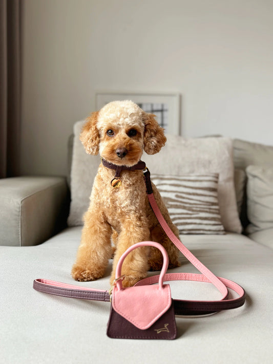 Hondenhalsband Two Tone leer