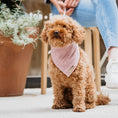 Afbeelding geladen in Galerij-viewer, Honden bandana Cably Rose

