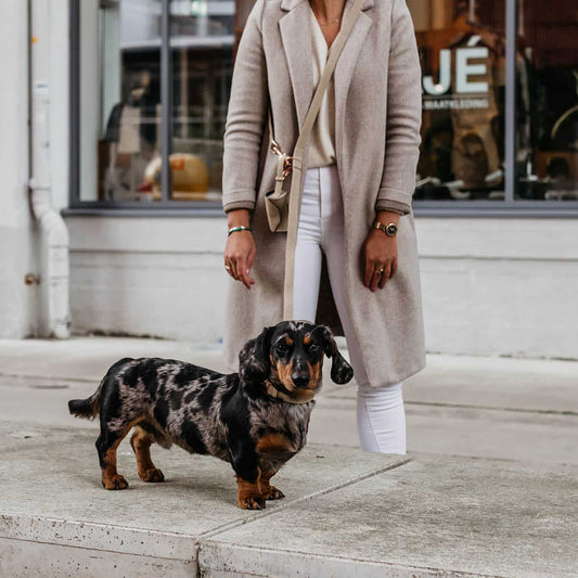 Honden poepzakhouder Steengrijs met rosé goud
Op zoek naar een elegante houder voor hondenpoepzakjes? De Steengrijze poepzakhouder is vervaardigd uit duurzaam vegan suède leer en is voorzien van rosé gouden accDogawafwafHonden poepzakhouder Steengrijs met rosé goud