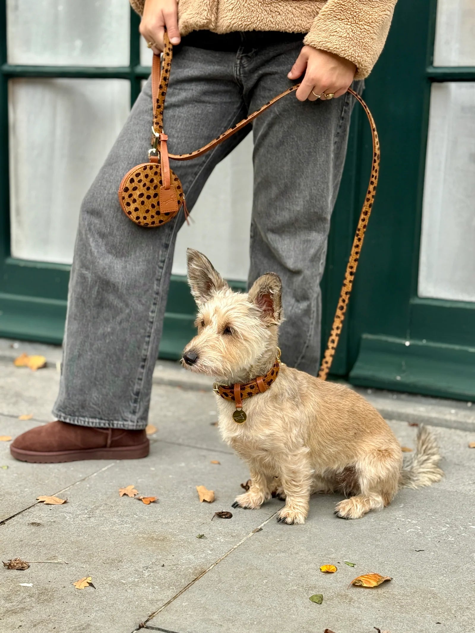 Hondenriem Cheetah leer