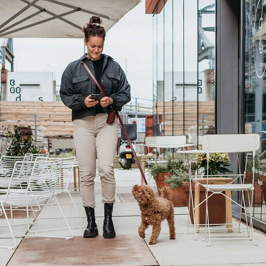 Honden poepzakhouder Bordeaux met goud
Ben je op zoek naar een elegante poepzakhouder? De bordeauxrode honden poepzakhouder met gouden accenten is zowel chic als praktisch. Deze poepzakhouder is ontworpeDogawafwafHonden poepzakhouder Bordeaux met goud
