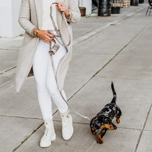 Honden poepzakhouder Royal Snake
Zoek je een elegante poepzakhouder? De Royal Snake honden poepzakhouder is voorzien van luxe rosé gouden details en ontworpen door het lifestyle merk DOGA. In de hoDogawafwafHonden poepzakhouder Royal Snake