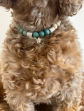 Afbeelding geladen in Galerij-viewer, Anti-tekenband Blauw
Deze anti-tekenband ziet er niet alleen uit als een anti-tekenband voor een hond, maar het is ook een sieraad voor de hond. Kies je eigen bedel om jouw hond in een studio proudwafwafAnti-tekenband Blauw
