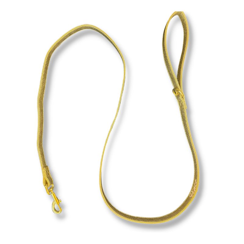 Hondenriem Gold Snake