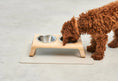 Afbeelding geladen in Galerij-viewer, Tova honden placemats
