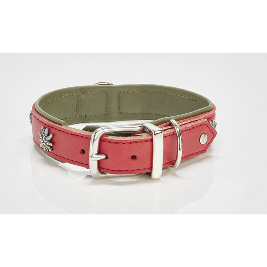 EDELWEISS halsband in red durable full-grain leather with metallic design, elegant and functional for dogs.