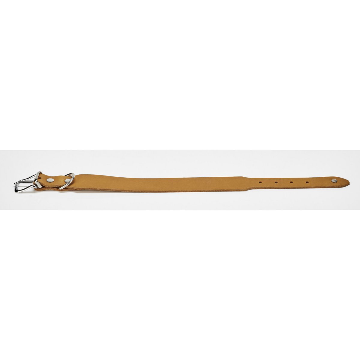 GIRO Hondenhalsband HoningDe GIRO-collectie is gemaakt met aandacht voor detail en biedt de beste kwaliteit zadelmakerij "Made in Germany". De halsbanden zijn gemaakt van duurzaam volnerf vetLABONIwafwafGIRO Hondenhalsband Honing