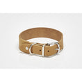Afbeelding geladen in Galerij-viewer, GIRO Hondenhalsband Honing in duurzaam volnerf vetleer met metalen gespen.
