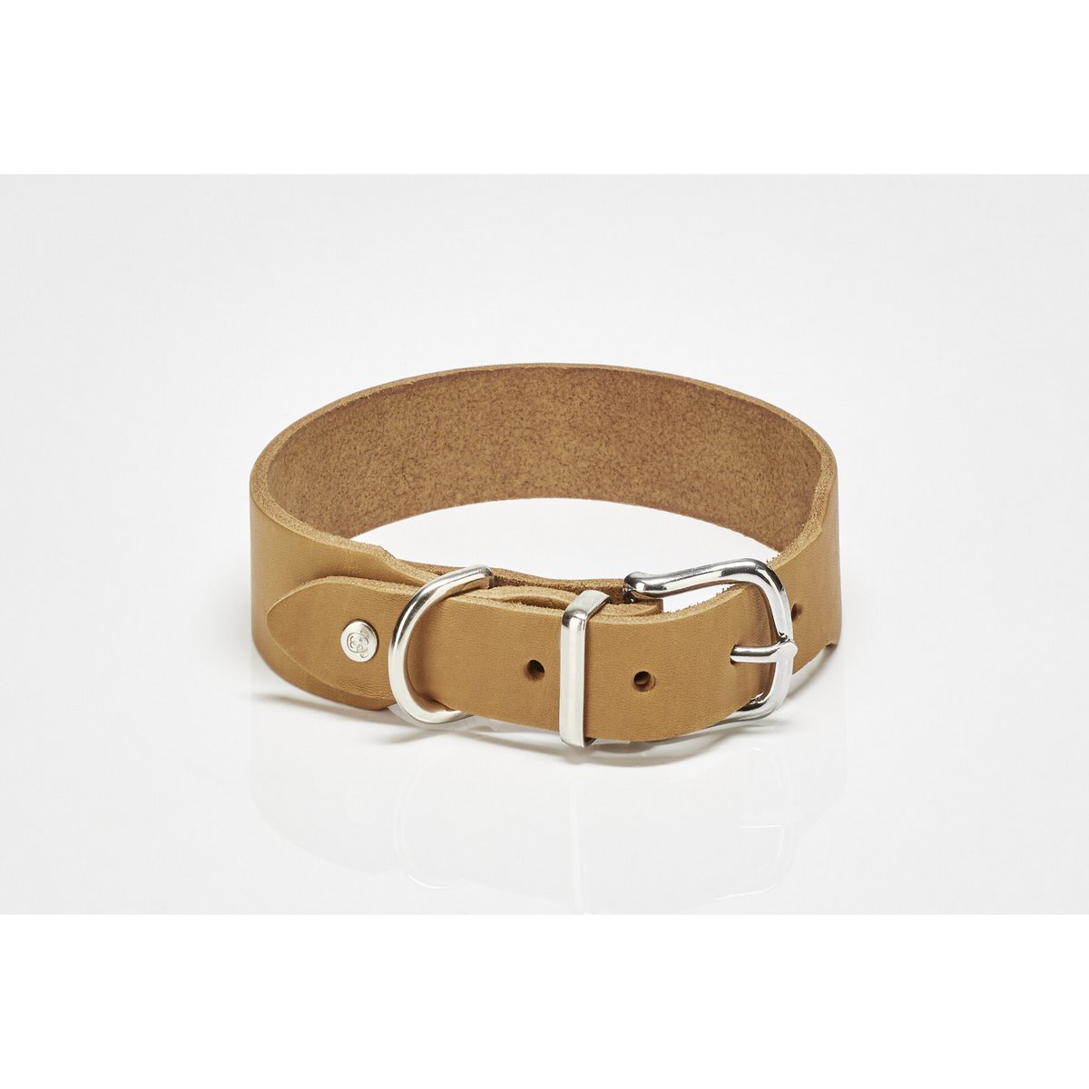 GIRO Hondenhalsband Honing in duurzaam volnerf vetleer met metalen gespen.