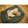 Afbeelding geladen in Galerij-viewer, Klassiek hondenbed - TEDDY 
Hondenbed TEDDY is een knuffelig en supercomfortabel bed, perfect voor honden die van knuffelen houden. Het is bedekt met trendy bouclé-stof, wat zorgt voor charmeLABONIwafwafKlassiek hondenbed - TEDDY
