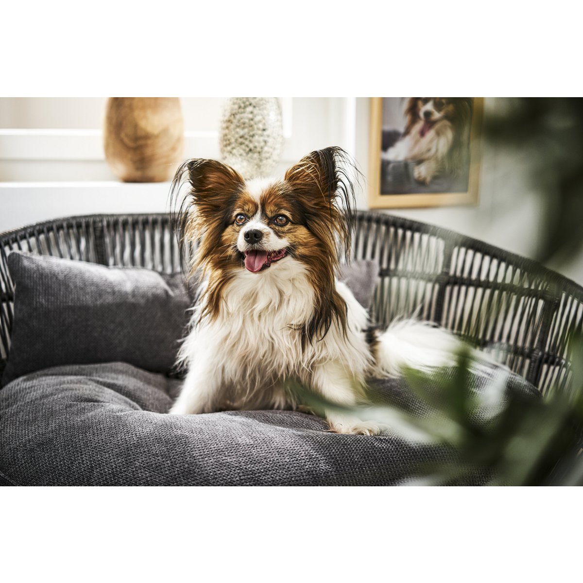 PRADO - TUDOR design hondenmandHet PRADO hondenbed van LABONI is een bekroond, stijlvol en comfortabel bed voor honden. Het heeft een klassieke framestructuur en een duurzame bekleding. De matras LABONIwafwafPRADO - TUDOR design hondenmand