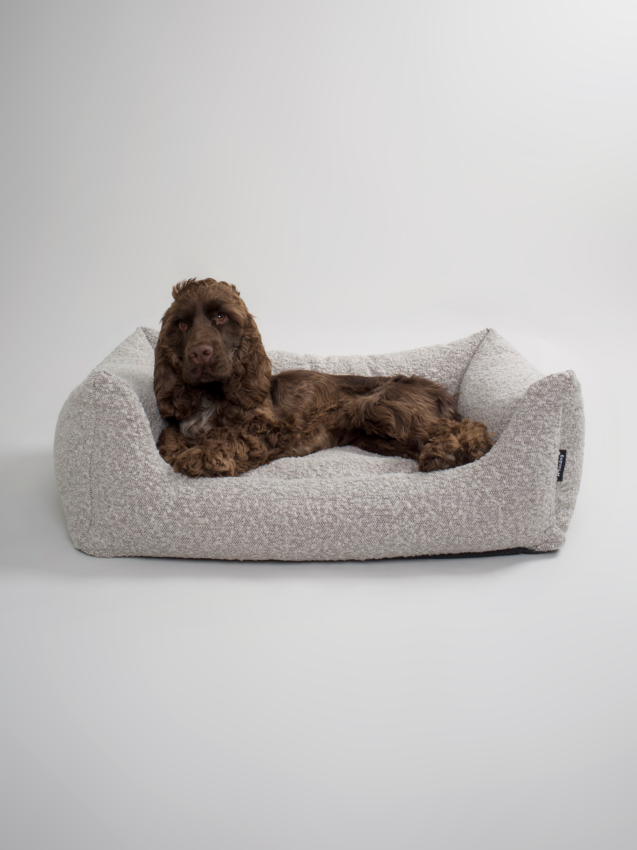 e-wicker24 Een opberger van wilgentenen voor een hond/kat met een zacht e-wicker24 Een opberger van wilgentenen voor een hond/kat met een zacht