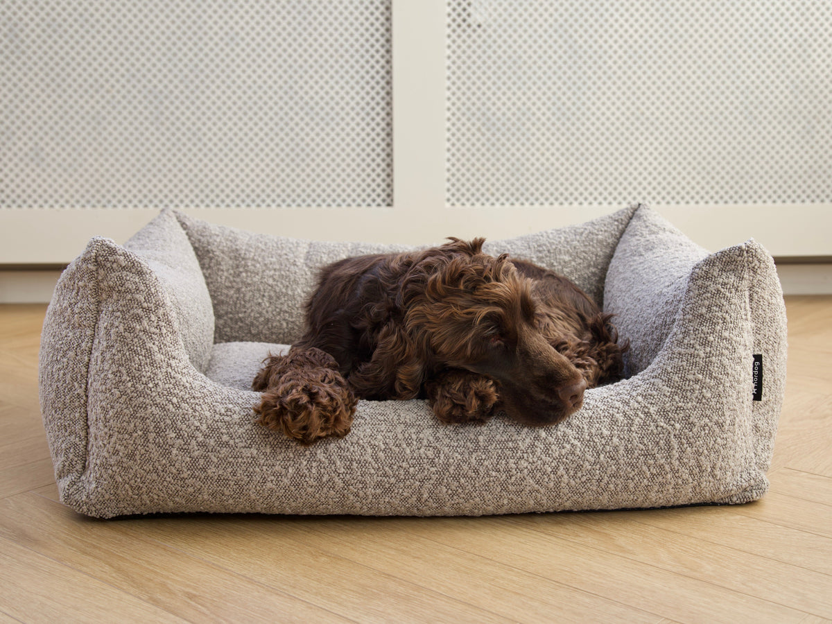 Hondenmand BILLY Bouclé Taupe – productafbeelding 17