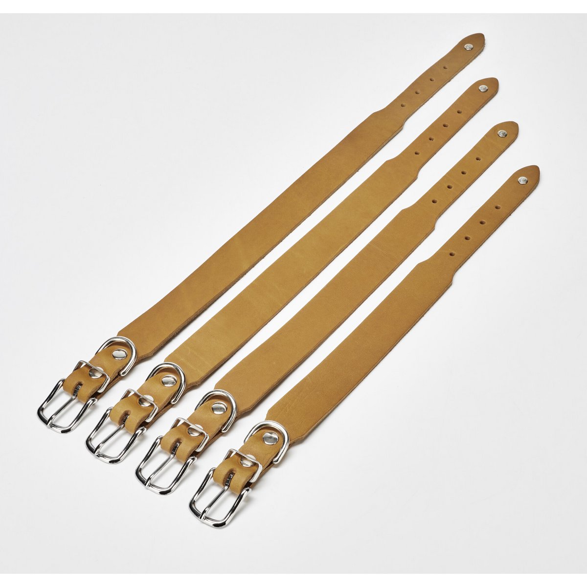 GIRO Hondenhalsband HoningDe GIRO-collectie is gemaakt met aandacht voor detail en biedt de beste kwaliteit zadelmakerij "Made in Germany". De halsbanden zijn gemaakt van duurzaam volnerf vetLABONIwafwafGIRO Hondenhalsband Honing